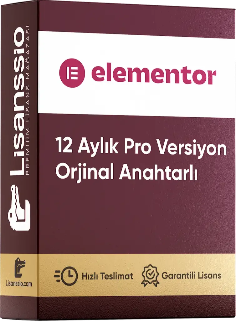 Elementor PRO - 12 Aylık